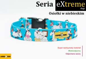 Osiołki  w niebieskim