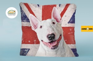 Poduszka bulterier UK