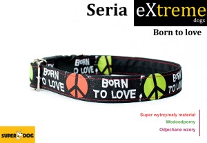 Born to Love