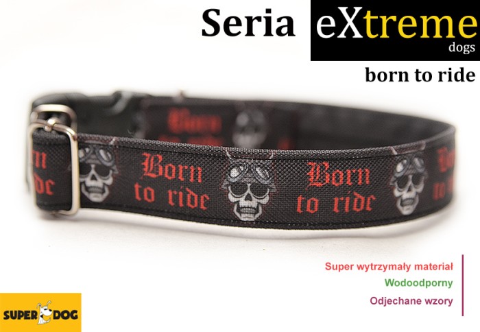 borntoride.jpg