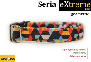 Obroża dla psa: Geometric