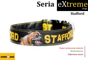 Obroża dla staffika: Stafford