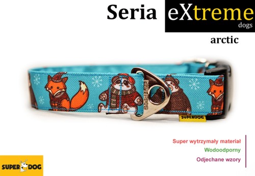 arctic.jpg