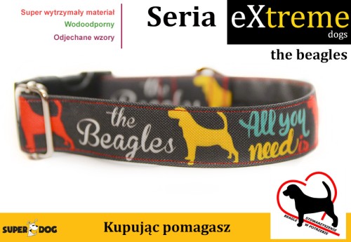 thebeagles.jpg