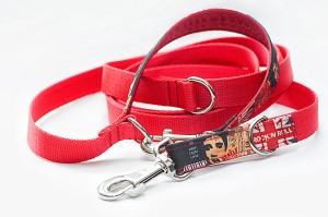 Wytrzymała smycz przepinana dla psa – komplet z obrożą Extreme