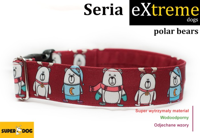 polarbear.jpg