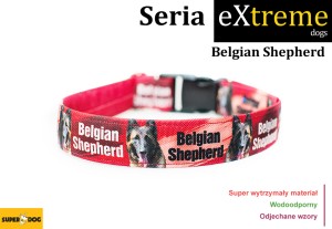 Belgian Shepherd