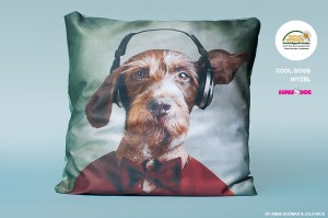 Poduszka Wyżeł-40x40cm 