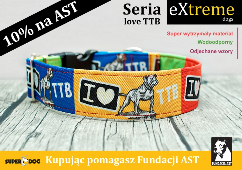 Wytrzymała obroża dla amstaffa z personalizacją – seria Extreme