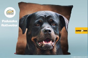 Poduszka Rottweiler