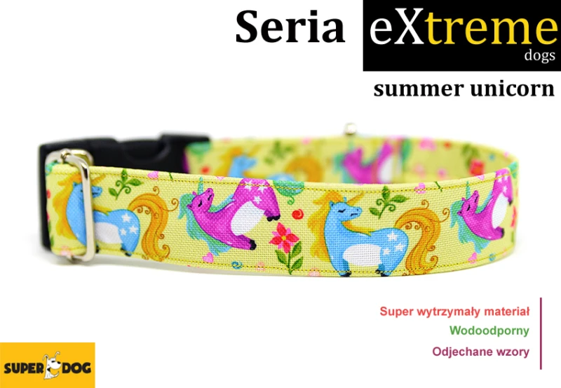 summeruicorn.jpg