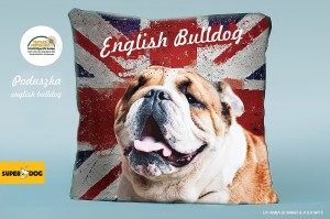 Poduszka Bulldog-40x40cm 