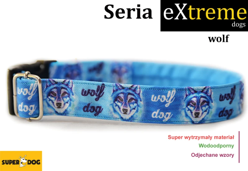 wolf.jpg
