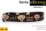 Labrador 2
