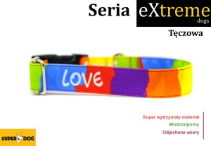 Obroża dla psa: tęczowa (love is love)
