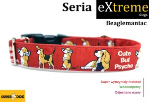 Obroża dla psa: Beaglemaniac
