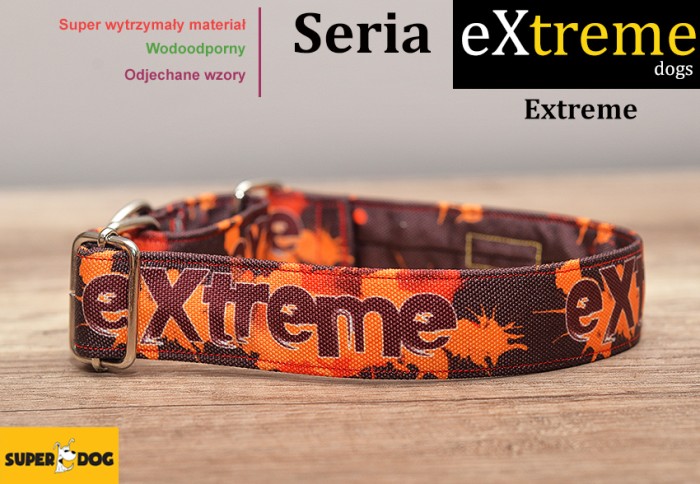 extreme.jpg