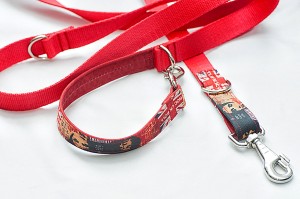 Wytrzymała smycz Extreme Dogs przepinana dla psa – komplet z obrożą Extreme