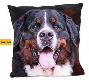 Poduszka Berneński pies pasterski