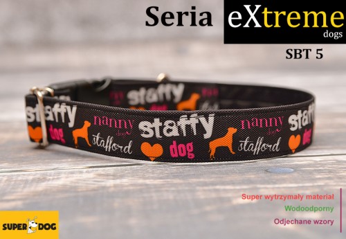 Obroża dla staffika szyta na zamówienie – seria Extreme