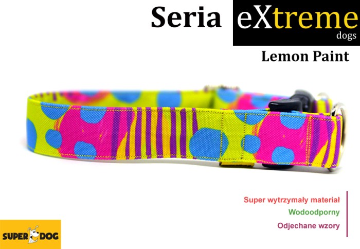 lemonpaint.jpg