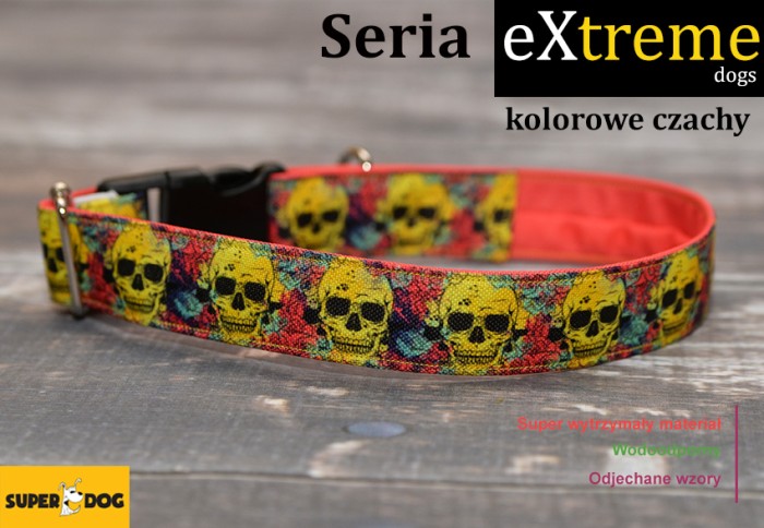 koloroweczachy.jpg