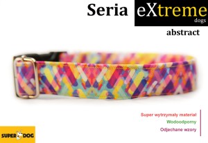 Obroża dla psa: Abstract