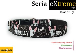 Love bully