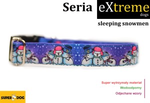 Sleeping Snowmen