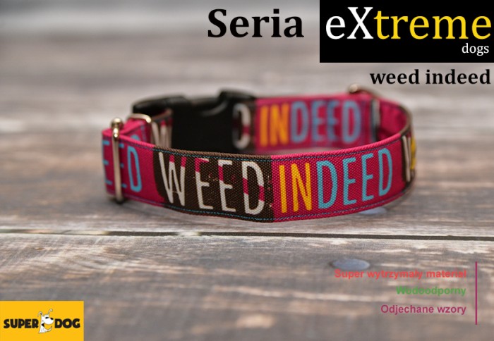 weedindeed.jpg