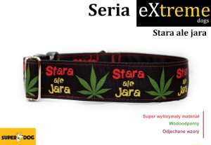 Stara ale jara