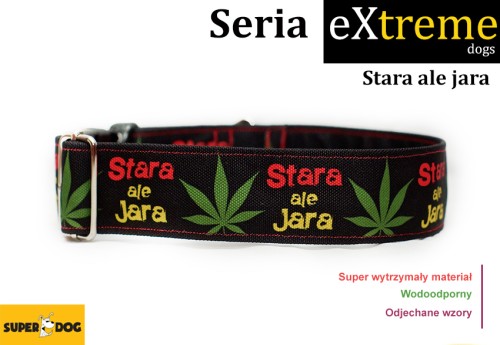 starajara.jpg