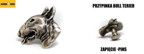 pinsy.jpg
