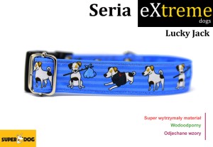 Obroża dla psa: Lucky Jack
