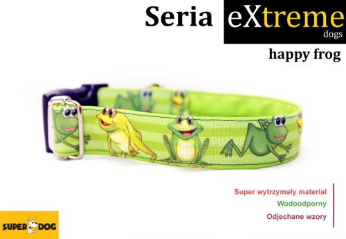 happyfrog.jpg