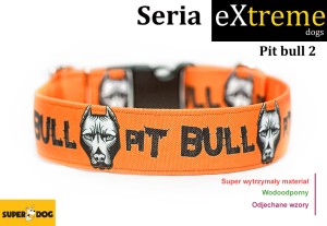 Pit Bull 2