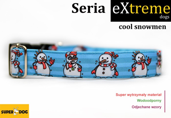coolsnowmen.jpg
