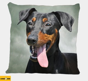 Poduszka Manchester terrier