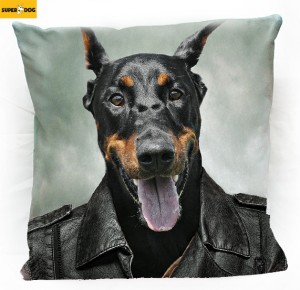 Poduszka doberman