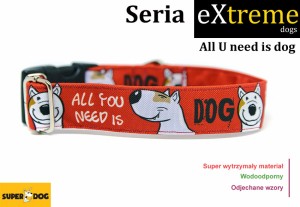 Obroża dla psa: All U need is dog