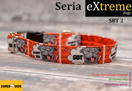 Mocna obroża dla staffika – idealna dla aktywnych psów