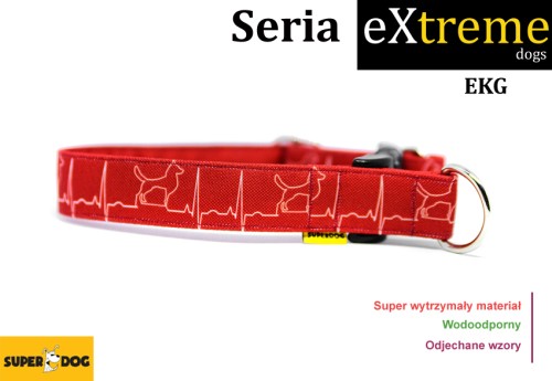 ekg.jpg