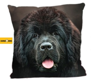 Poduszka Nowofunland