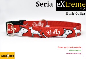 Obroża dla psa: Bully collar