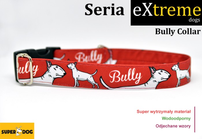 bullycollar.jpg