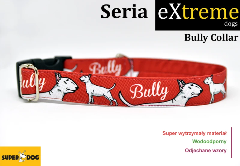 bullycollar.jpg