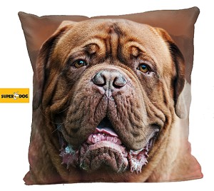 Poduszka Dog de bordeaux 2R