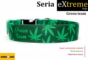 Green team
