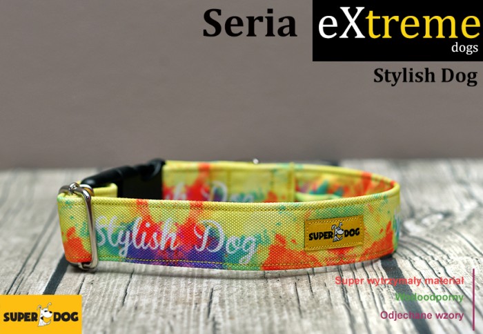 stylishdog.jpg