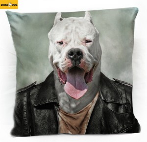 Poduszka dogo argentino